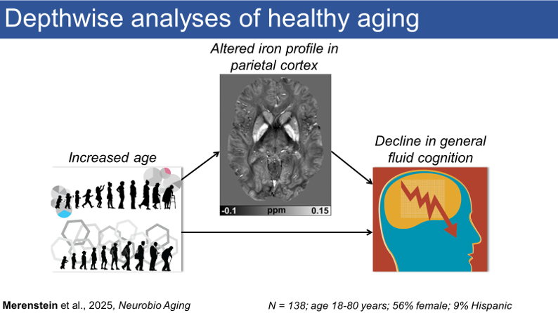 Figure: Depthwise analyses of healthy aging