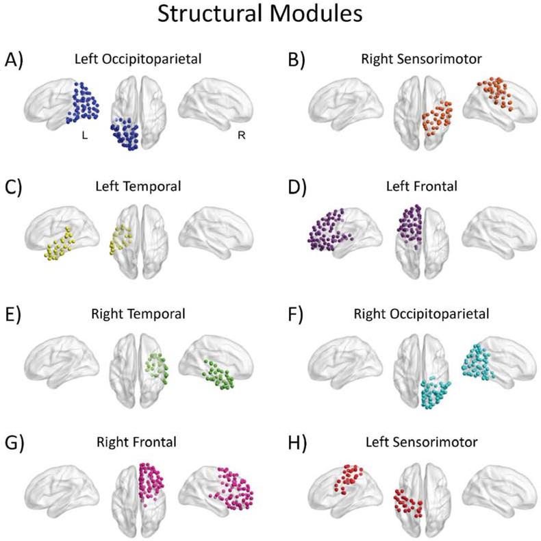 Influence Of Structural And Functional Brain Connectivity On Age ...